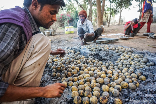 Cooking baati over cow dung